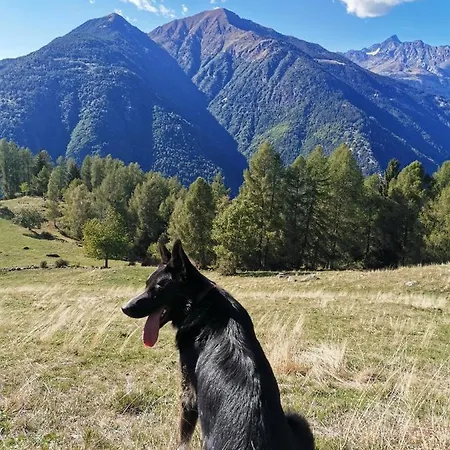 Carnale, Montagna In Valtellina *