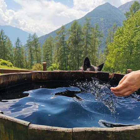 Carnale, Montagna In Valtellina * Ca' Pavadri